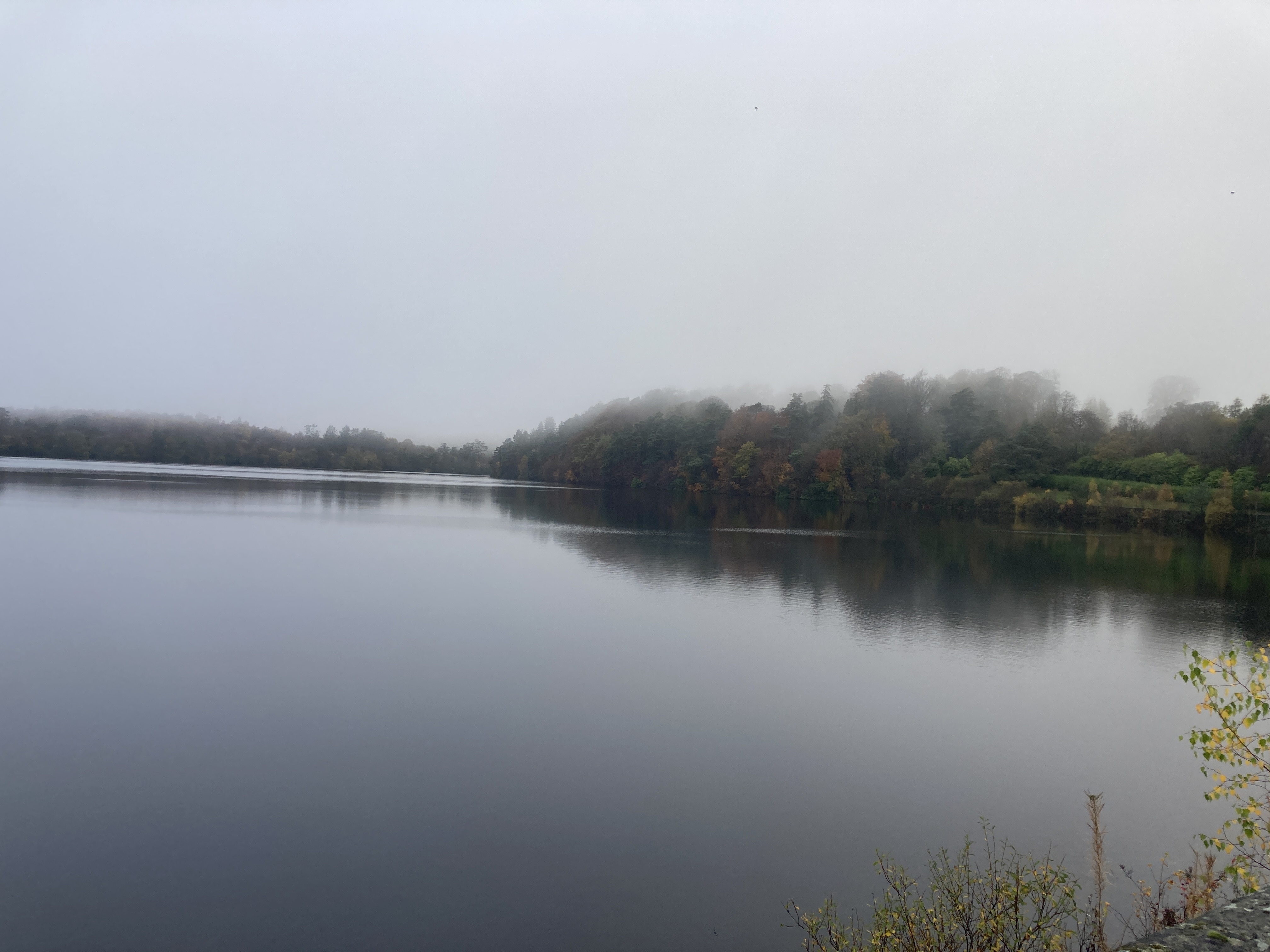 Autumn: a time to reflect